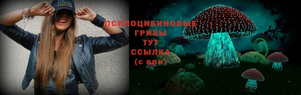 тгк Абдулино
