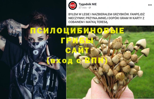 стаф Абаза