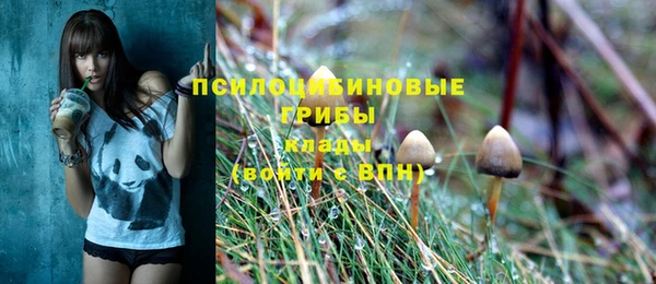 стаф Абаза