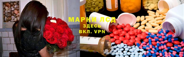 стаф Абаза