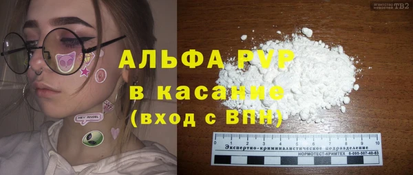 стаф Абаза