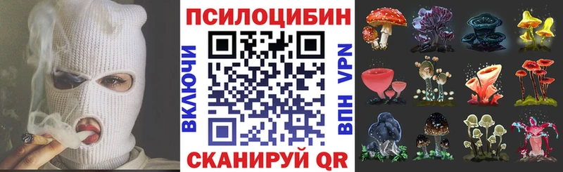 Псилоцибиновые грибы MAGIC MUSHROOMS  дарк нет какой сайт  Шилка 