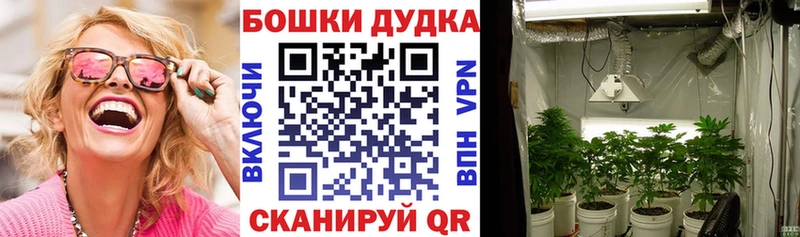 сколько стоит Шилка Бошки марихуана ГИДРОПОН